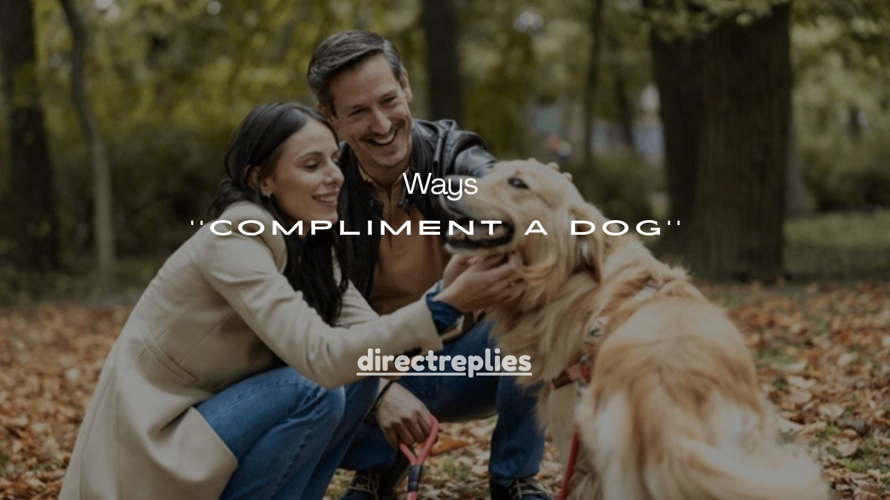150+ Cute Ways to Compliment a Dog